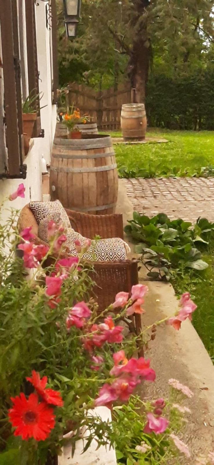 Villa Amai Lequio Tanaro エクステリア 写真